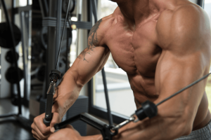 Ako si udr�a� dlhodobo svalov� hmotu